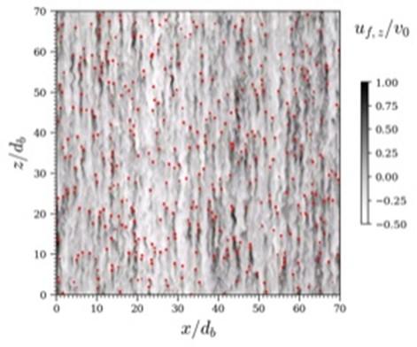 Champ instantané́ de la vitesse verticale du liquide. Les cercles matérialisent les bulles. 